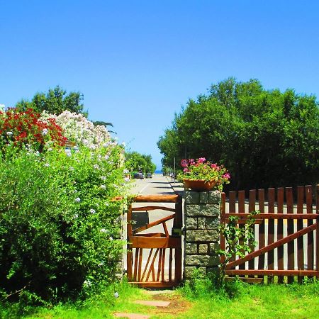 Phocea Bed & Breakfast San Teodoro  Exterior foto